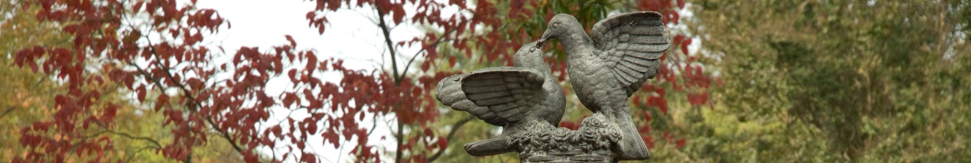 RCCD-Doves-Fall-Trees-in-Background